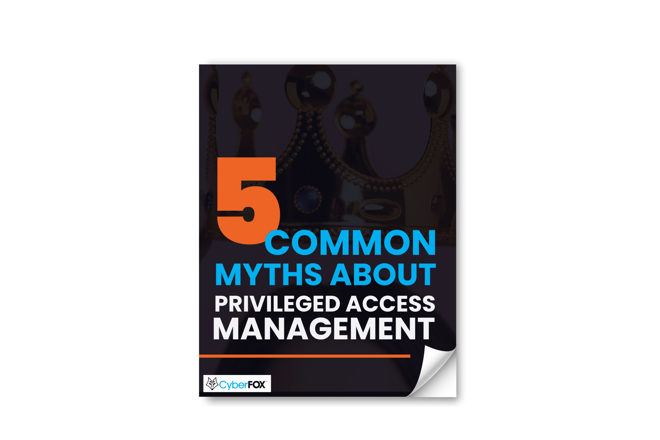 5 Common Myths About PAM eBook