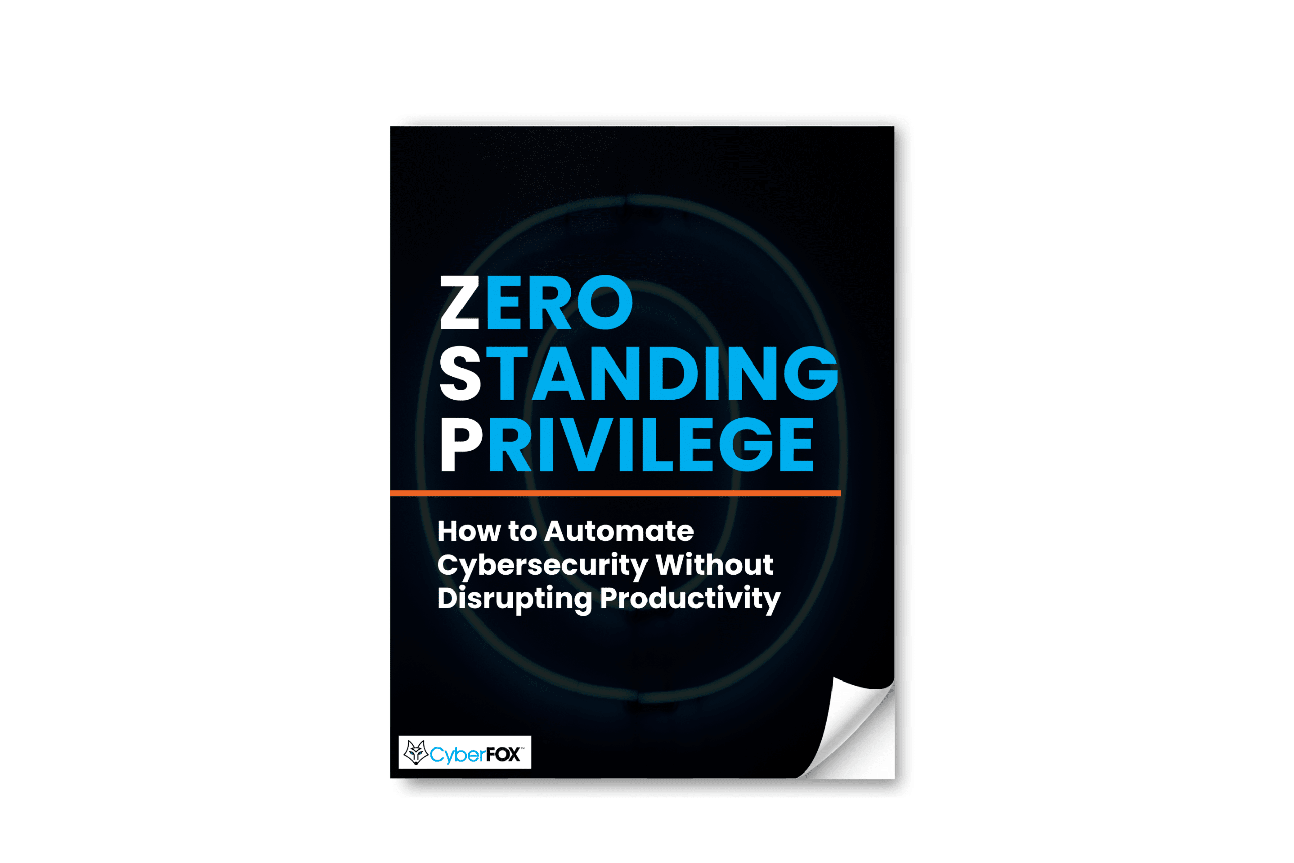 Zero Standing Privilege eBook