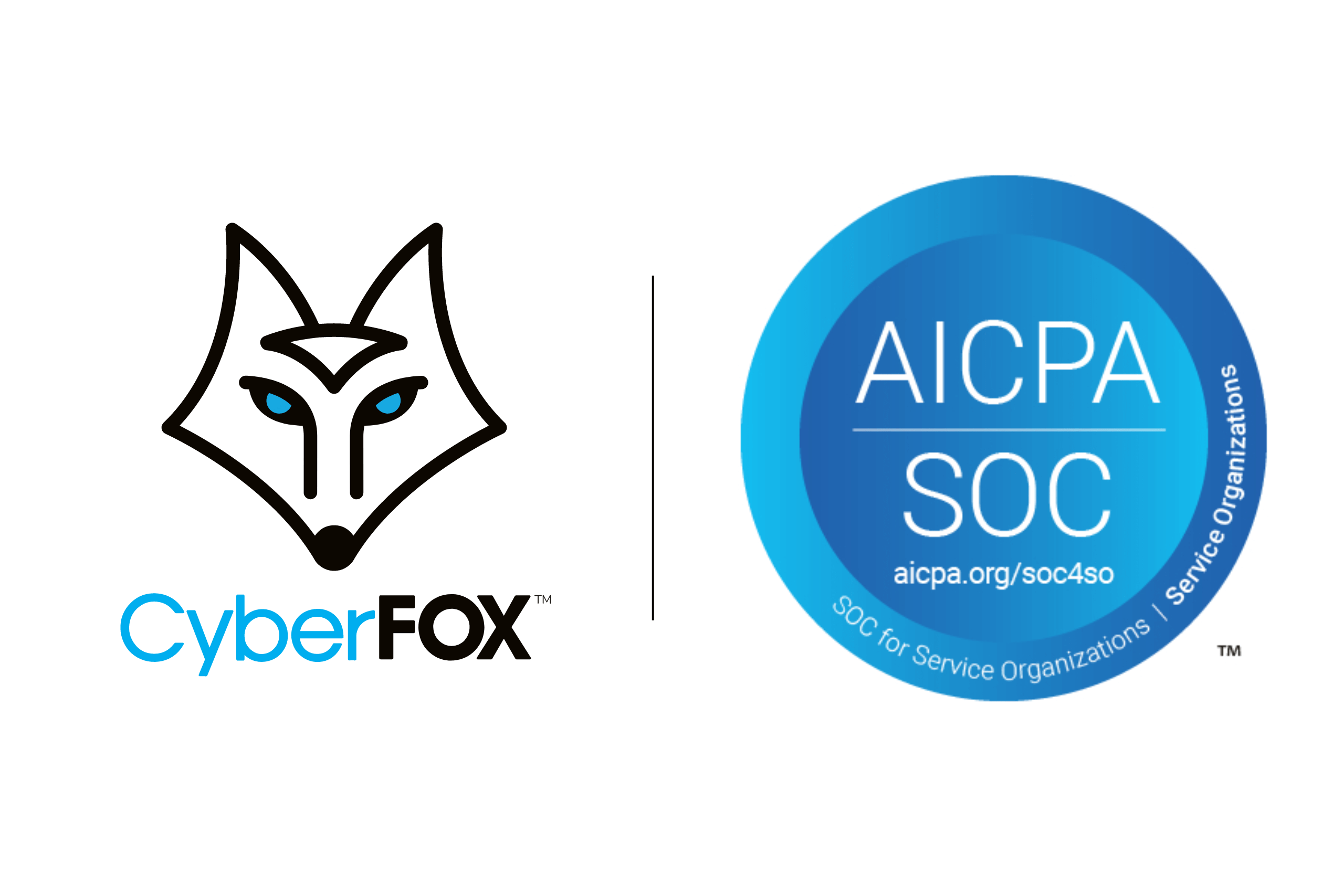 CyberFOX Announces Successful Completion of SOC 2 Type II Audit for 2024