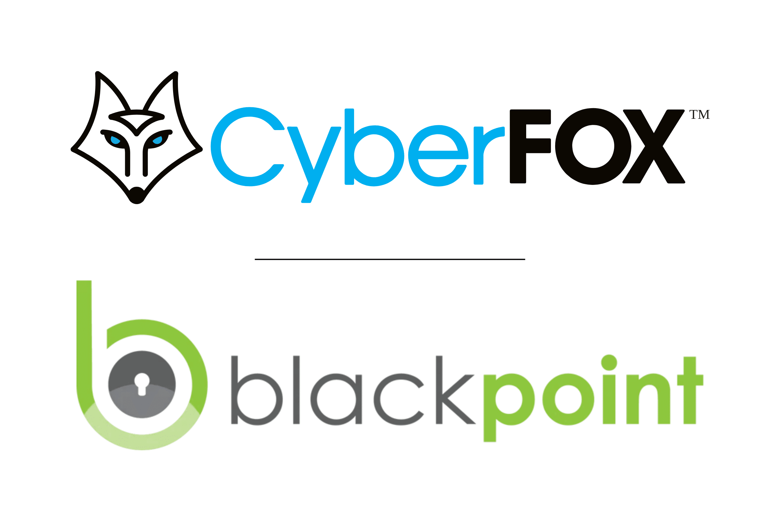 Better Together: CyberFOX and Blackpoint Cyber Partner to Deliver Unmatched Security 