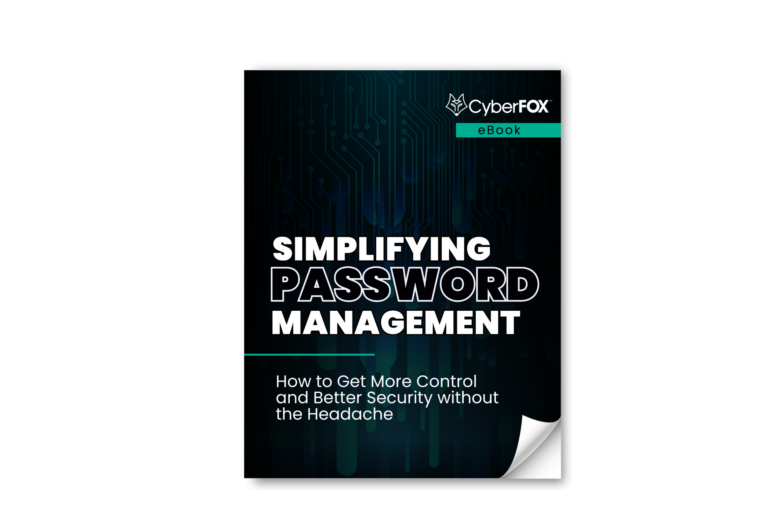 Simplifying Password Management eBook